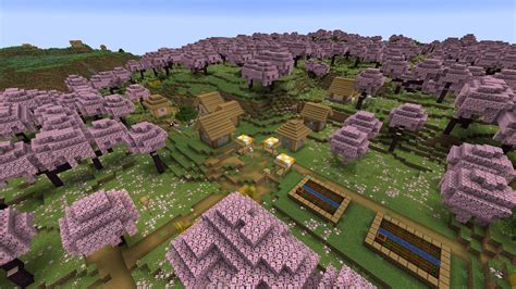 best cherry blossom seeds in minecraft|minecraft cherry blossom village seed.